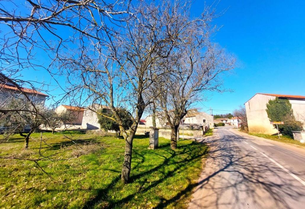 Cozy Apartments And Rooms Pavicini Segotici Dış mekan fotoğraf